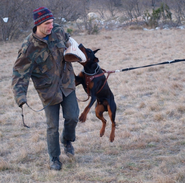 5nitro jan 2009int6.jpg